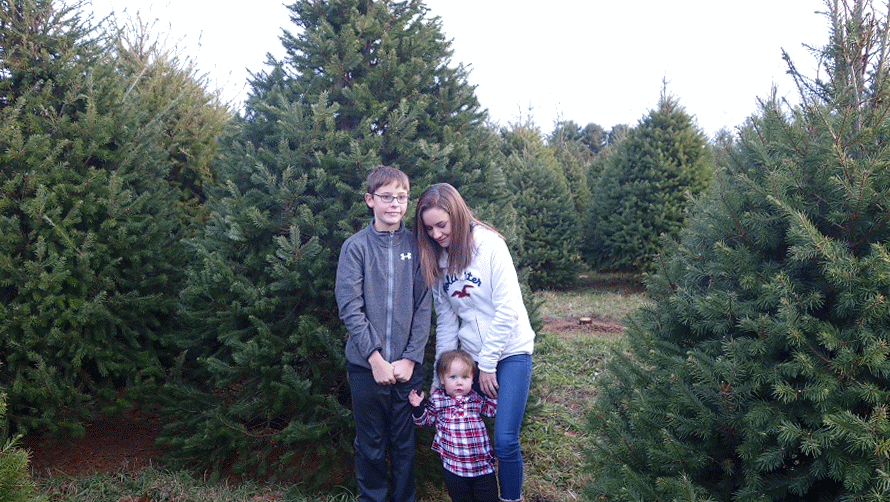 Christmas Tree selecting at Woods &amp; Things thumbnail